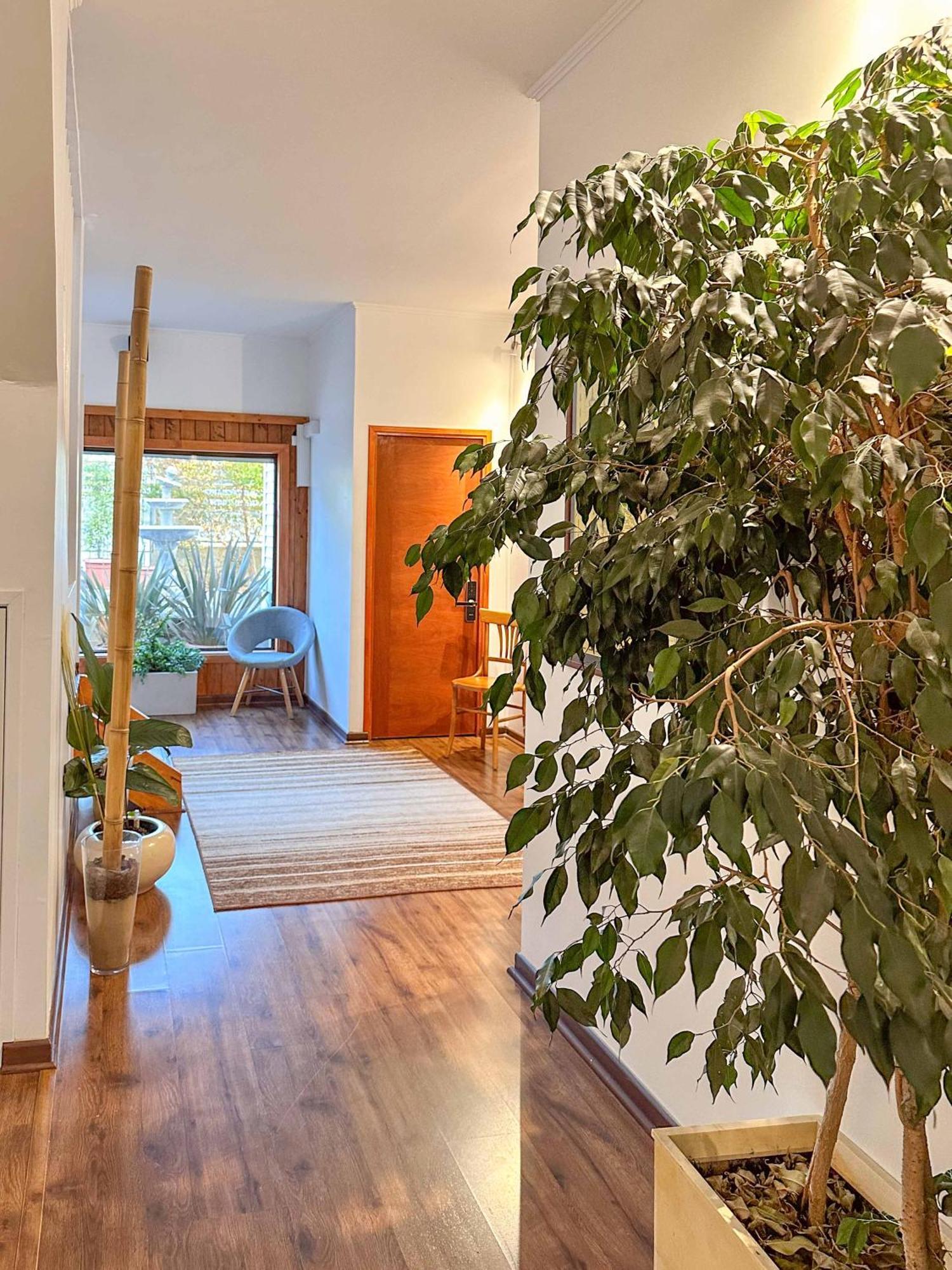 Kai Bed&Breakfast Algarrobo Bagian luar foto
